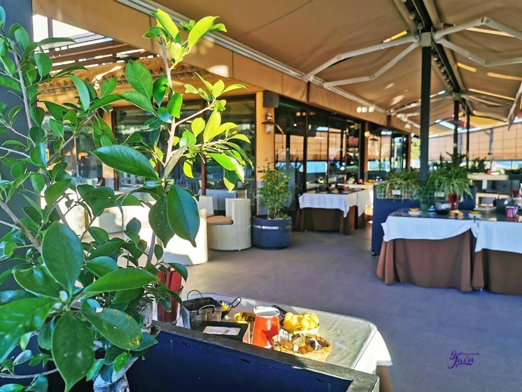 Hotel Campos De Baeza Luaran gambar